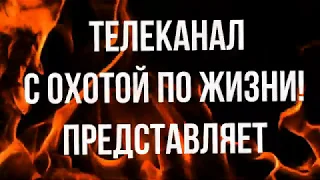 Охота на зайца. Легкий, но трудовой трофей. 12.01.2020