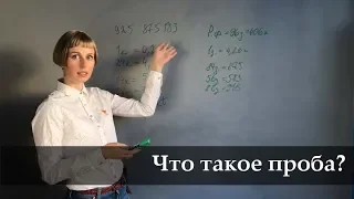 Что такое проба и зачем она нужна? Отвечает Лавка Сороки