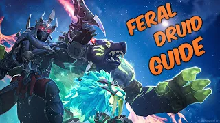 Feral Druid PvP Guide, Dragonflight, Gear, Macros, Keybinds, WeakAuras