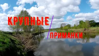 КРУПНЫЕ приманки НА малой РЕКЕ/Рыбалка в Беларуси