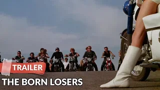 The Born Losers 1967 Trailer HD | Tom Laughlin | Elizabeth James