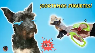 CORTAMOS JUGUETES Y NO elijas la CAJA INCORRECTA / Lana
