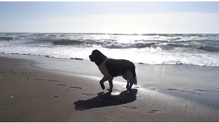 Dethan casts a silhouette against the sea