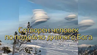 Сотворен человек по подобию дивного Бога