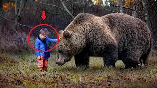 The boy is lost in the forest. What the huge bear did to him is TERRIBLE❗