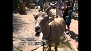 Tennity Amphitheater's Wildlife Wonders at the Living Desert (September 10, 2000) | Home Video