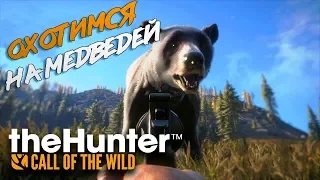 Открываем новую местность, охота на медведей и койотов - The Hunter: Call Of The Wild.