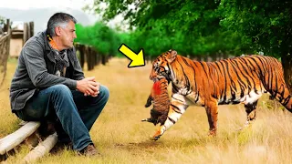 Tigress Brought Her Dying Cub To This Man & Began To Cry. Then He Did Something Unbelievable!