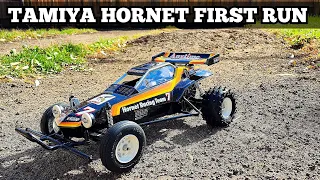 Tamiya Hornet First Run