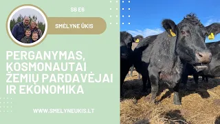 Perganymas, kosmonautai žemių pardavėjai ir ekonomika S6E6