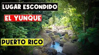 Un  lugar Escondido en la Falda del Yunque.