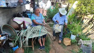 "Cuando no hay comemos raíz de nopal "|Tío Ubaldo.