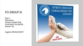 «Особенности судейства десяти групп пород FCI Группа IX ч. 2» | «Ответственное собаководство онлайн»