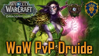 Let's Play WoW Dragonflight PvP | Gleichgewicht Druide #01