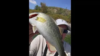 Diamond Valley Lake EP 21/ Mid-Spring / Bass 1lb - 3lb #bassfishing #dvl #fishing