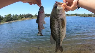 8in swimbait gets DESTROYED by bass