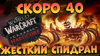 Загрифили Мага! Качаемся Заново! Одна Жизнь В MMORPG!