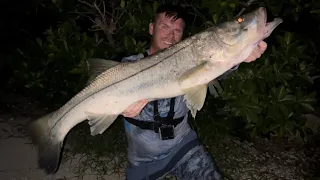 How To Catch Giant Snook Fishing Florida Islands in The Gulf of Mexico! + BIG Shark + Runcl Baelish