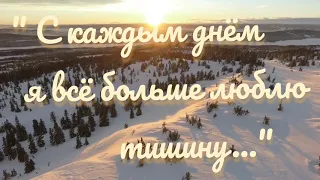 Прекрасный стих "С каждым днём я всё больше люблю тишину..."Автор: Ирена Буланова