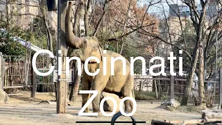 Cincinnati Zoo