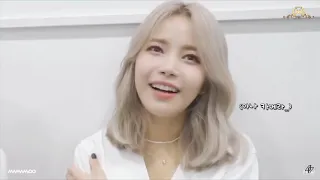 Solar being bullied (mostly by Moonbyul) for almost 11 minutes straight