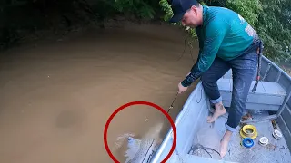 La primera pesca y cocina de un paleton monstruo en Arauca