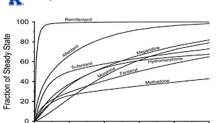 Opioid Pharmacology - (Dr. Bauereis)