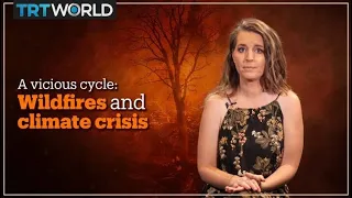 Are wildfires and the climate crisis creating a vicious cycle?