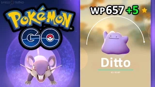 Darum nehme ich ab sofort Rattfratz als Buddy + maximales Ditto | Pokémon GO Deutsch #134