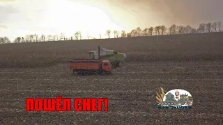 Идет снег!Зимняя уборка кукурузы 21.12.2021!Комбайны Claas Tucano и NH TC 5080,Мтз 82,1025!