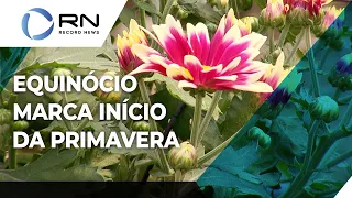 Equinócio marca o início da Primavera