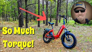 Hovsco HovBeta Folding Fat Tire E-BIKE Review! Torque Monster! ⚡🚴😃👍 #ebike