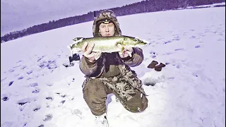 Зимняя рыбалка на жерлицы.  Оставили жерлицы на ночь. Щука не заставила долго ждать.