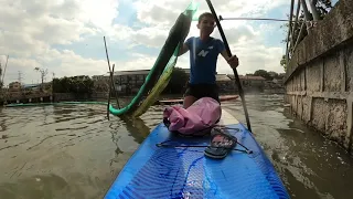 Sup Reframe by GoPro Max