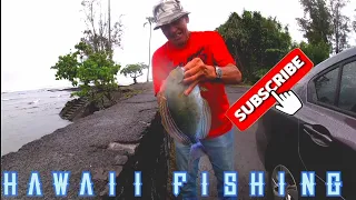 my Biggest fish palani big/ island hawaii fishing/Fishing in hawaii  Hilo