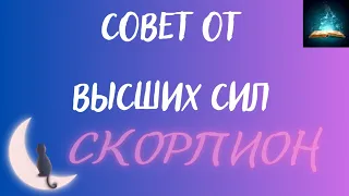 Скорпион. Совет от Высших Сил Таро Прогноз