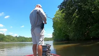 Georgia Bass Trail 2023 | Lake Eufaula Day 1