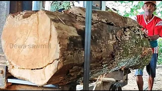 Sawing deformed oak wood but beautifully fibrous