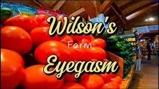 Wilsons Farm Eyegasm Lexington MA