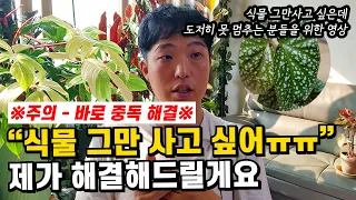 ※주의※ 식물 구매 중독 해결하는 영상