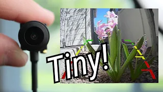Are these tiny cheap ANALOG cameras any good?