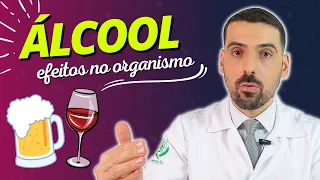 ÁLCOOL: efeitos do álcool no organismo. Existe dose segura para o consumo de bebidas alcoólicas?