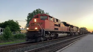 BNSF #9259 (Eastbound Coal) at Waterloo, IN (June 7, 2022)