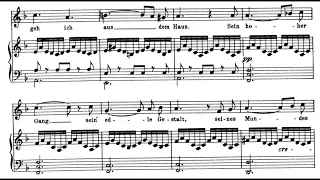 Gretchen Am Spinnrade (F. Schubert) Score Animation