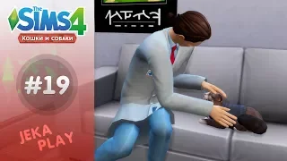 The Sims 4 Кошки и собаки | Кот везде и всюду! - #19