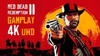 Red Dead Redemption 2 Gameplay 4K Xbox One X #13 Le pecore e le capre