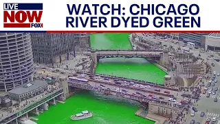 WATCH: Chicago River dyed green ahead of St. Patrick's Day  | LiveNOW from FOX