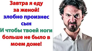 Мама, ты зачем к нам вообще приперлась? Чтобы меня с моей женой рассорить? Орал мой муж свекрови