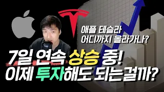 실적 랠리와 끝없는 상승! 테슬라와 애플 밸류에이션 적절할까? | 미국주식 매수 매도점 분석