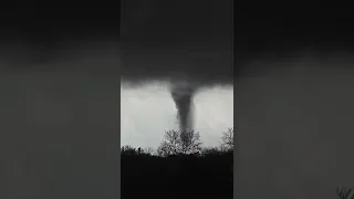 TORNADO in the trees of Arkansas yesterday! 4/11/22 #shorts